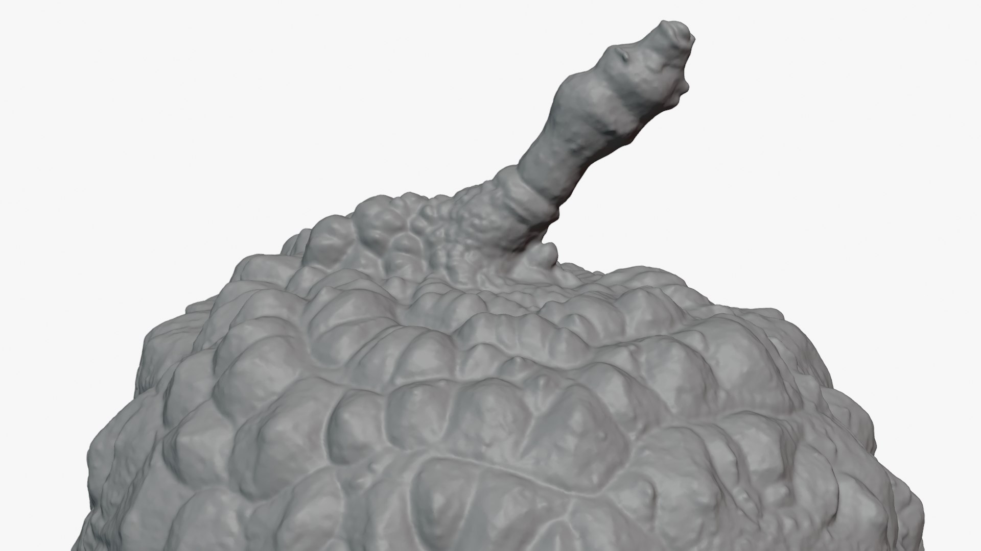 3D model Lychee 02 - For 3D Print https://p.turbosquid.com/ts-thumb/pV/l6hMbJ/9K/lychee02_0012/png/1758393769/1920x1080/fit_q87/026116a81d9bb12f77b9fe6b29e516919ba68d82/lychee02_0012.jpg