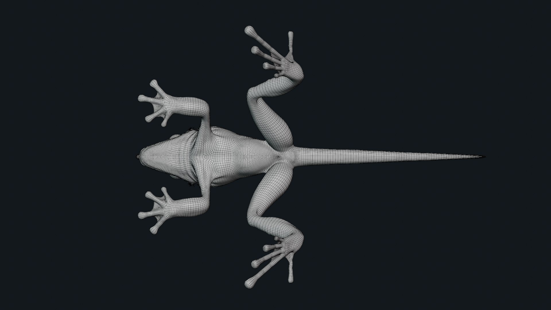3D Fantasy Reptile https://p.turbosquid.com/ts-thumb/pV/n6cl7b/4X/neutralpose_04_wire_sub02/png/1693243691/1920x1080/fit_q87/bc033b34b46a62a27b8942d65bd7563c9642852d/neutralpose_04_wire_sub02.jpg