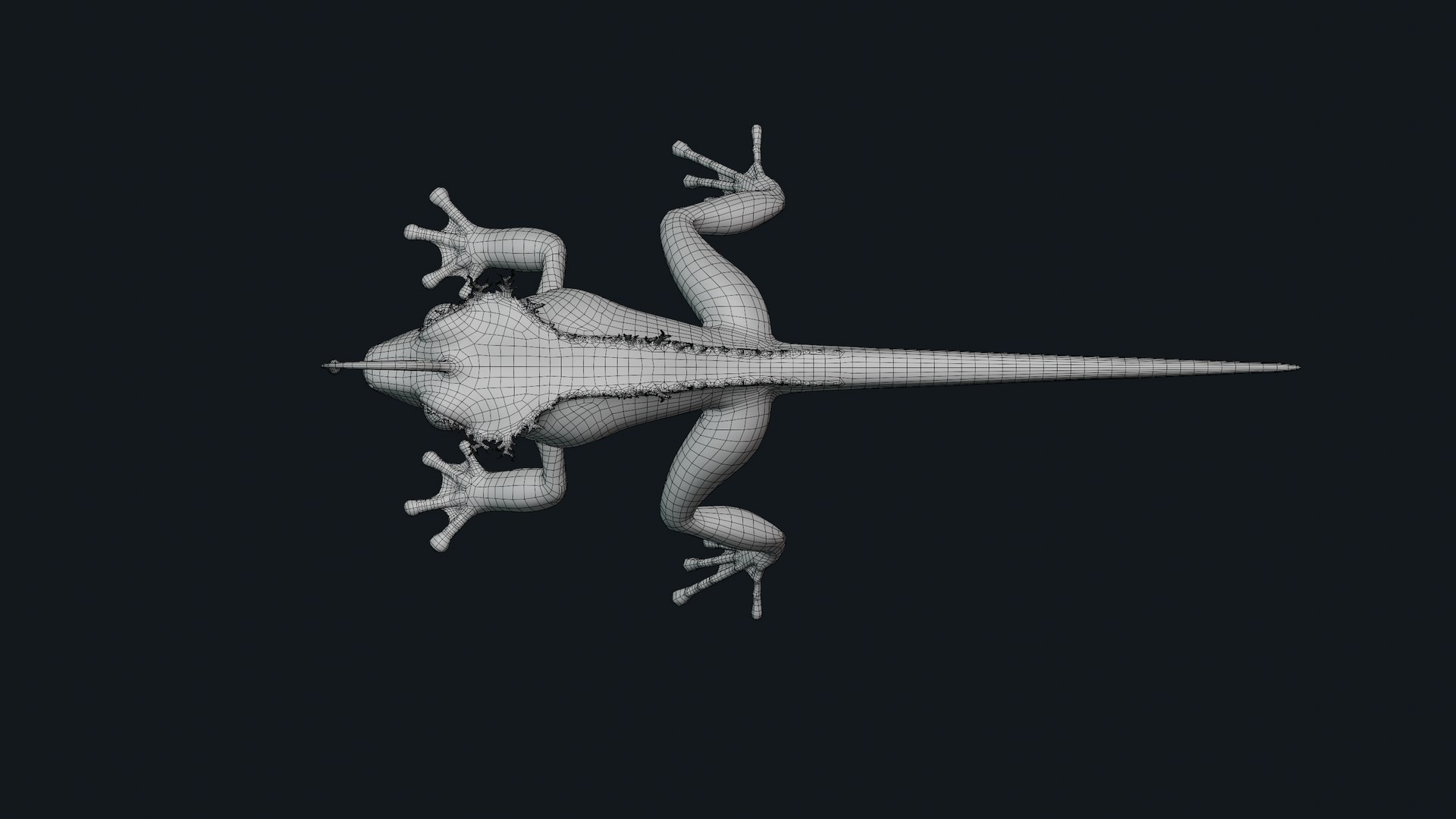 3D Fantasy Reptile https://p.turbosquid.com/ts-thumb/pV/n6cl7b/S5/neutralpose_03_wire_sub01/png/1693243675/1920x1080/fit_q87/c17f34e9a92b65a95f5c9fdc20b30219855c9140/neutralpose_03_wire_sub01.jpg