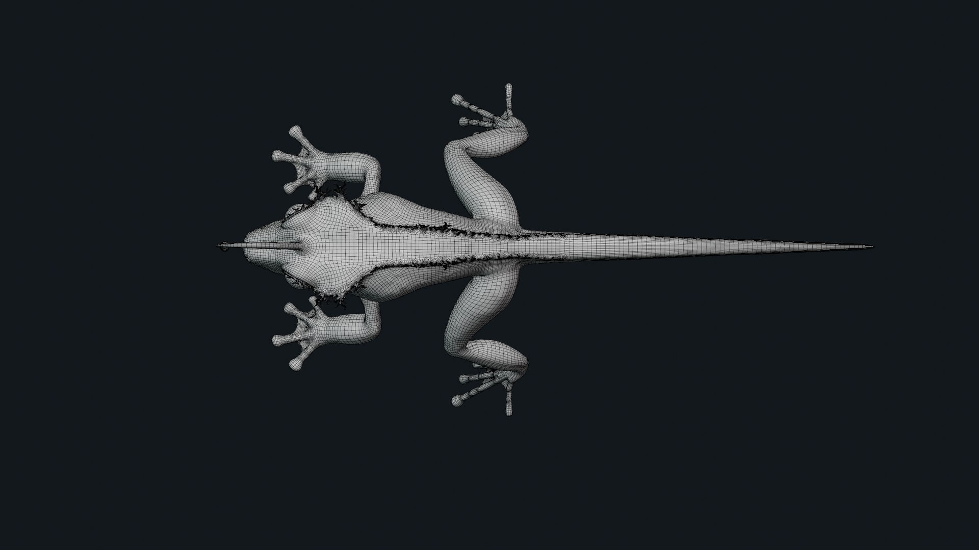 3D Fantasy Reptile https://p.turbosquid.com/ts-thumb/pV/n6cl7b/YF/neutralpose_03_wire_sub02/png/1693243671/1920x1080/fit_q87/969c72c99c909d993ba7b139b898ddc19b4395c6/neutralpose_03_wire_sub02.jpg