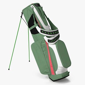 3D model Golf Bag with Stand