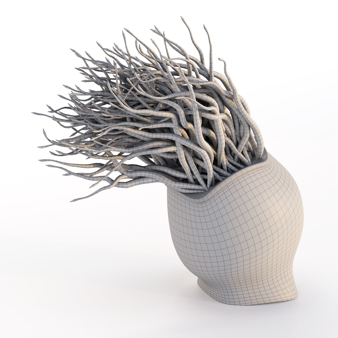 3D model Ultimate Marine Life Mega Library https://p.turbosquid.com/ts-thumb/pW/7nKSJf/Ev/coralhairwirecopy/png/1777395322/1920x1080/fit_q87/d4527ad83d7a459fa756280d6b58fc3fdc947a31/coralhairwirecopy.jpg