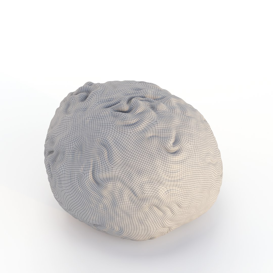 3D model Ultimate Marine Life Mega Library https://p.turbosquid.com/ts-thumb/pW/7nKSJf/Ob/brain_coral_1wirecopy/png/1777395282/1920x1080/fit_q87/32ae7ee6aebd32126d47b496681d9b86b442231b/brain_coral_1wirecopy.jpg