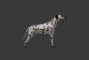 3d model dog