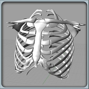 Ribcage Solidworks