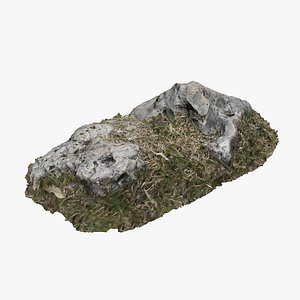 3D grassy rock