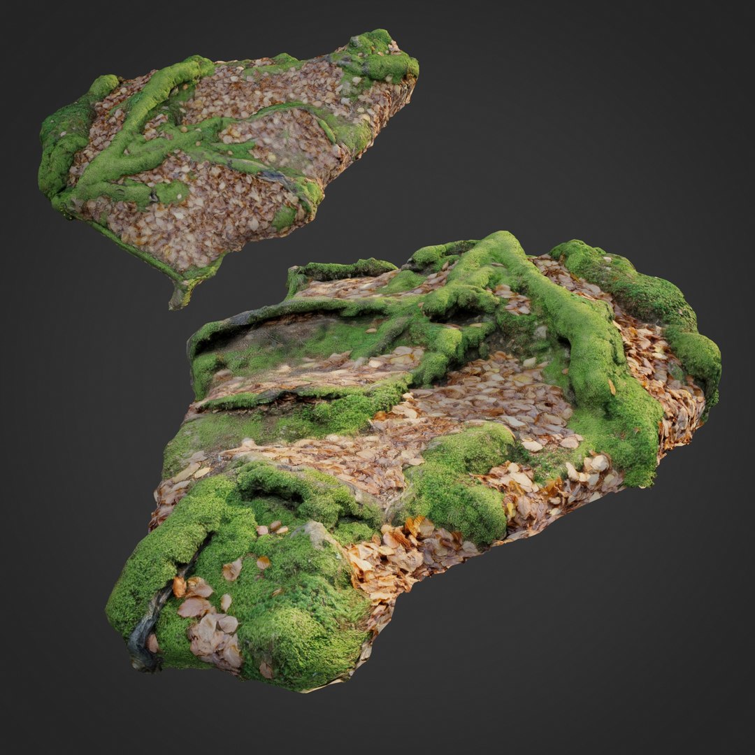 3D Scanned Nature Forest Stuff - TurboSquid 1221181