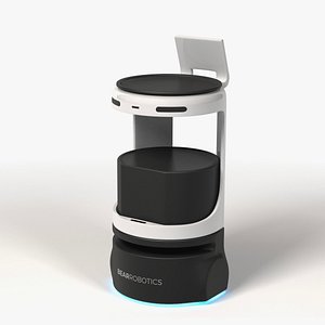 3D Servi robot server