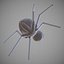 Historieta de la araña