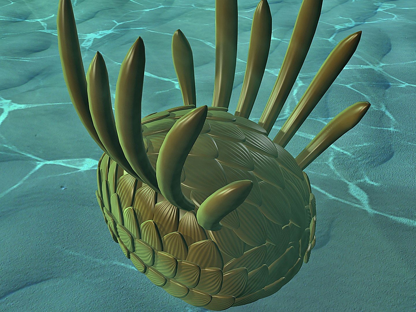 3d model of wiwaxia prehistoric cambrian https://p.turbosquid.com/ts-thumb/pW/uKRWbH/LG/r0299/jpg/1739254243/1920x1080/fit_q87/325ac9f65ad7f99cd83d9d3d5739d5ce99977195/r0299.jpg