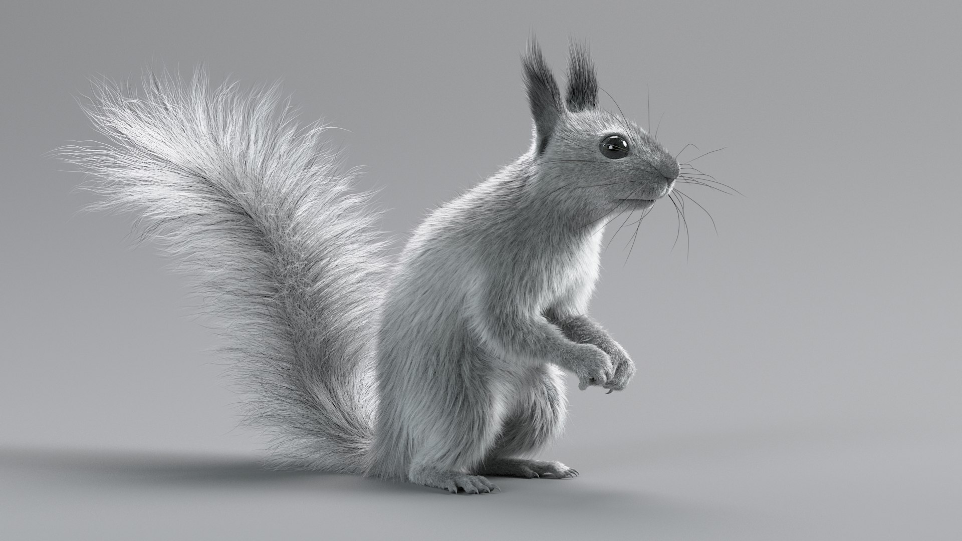 3D Squirrel Rigged Xgen - TurboSquid 2362824