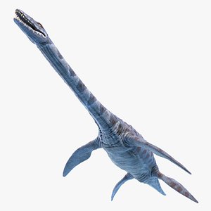 Attenborosaurus Static 3D model