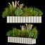 Collection plant vol 324 - indoor -leaf - grass - cinema 4d - 3dmax
