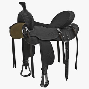 Saddle 3