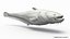 3D model Catfish animated