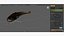 3D model Catfish animated