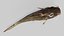 3D model Catfish animated