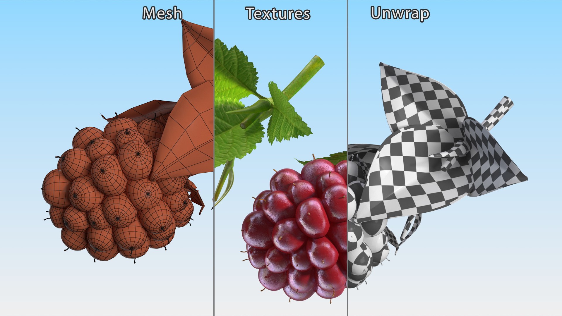 Red Raspberry With Leaves 3D Model - TurboSquid 2396015