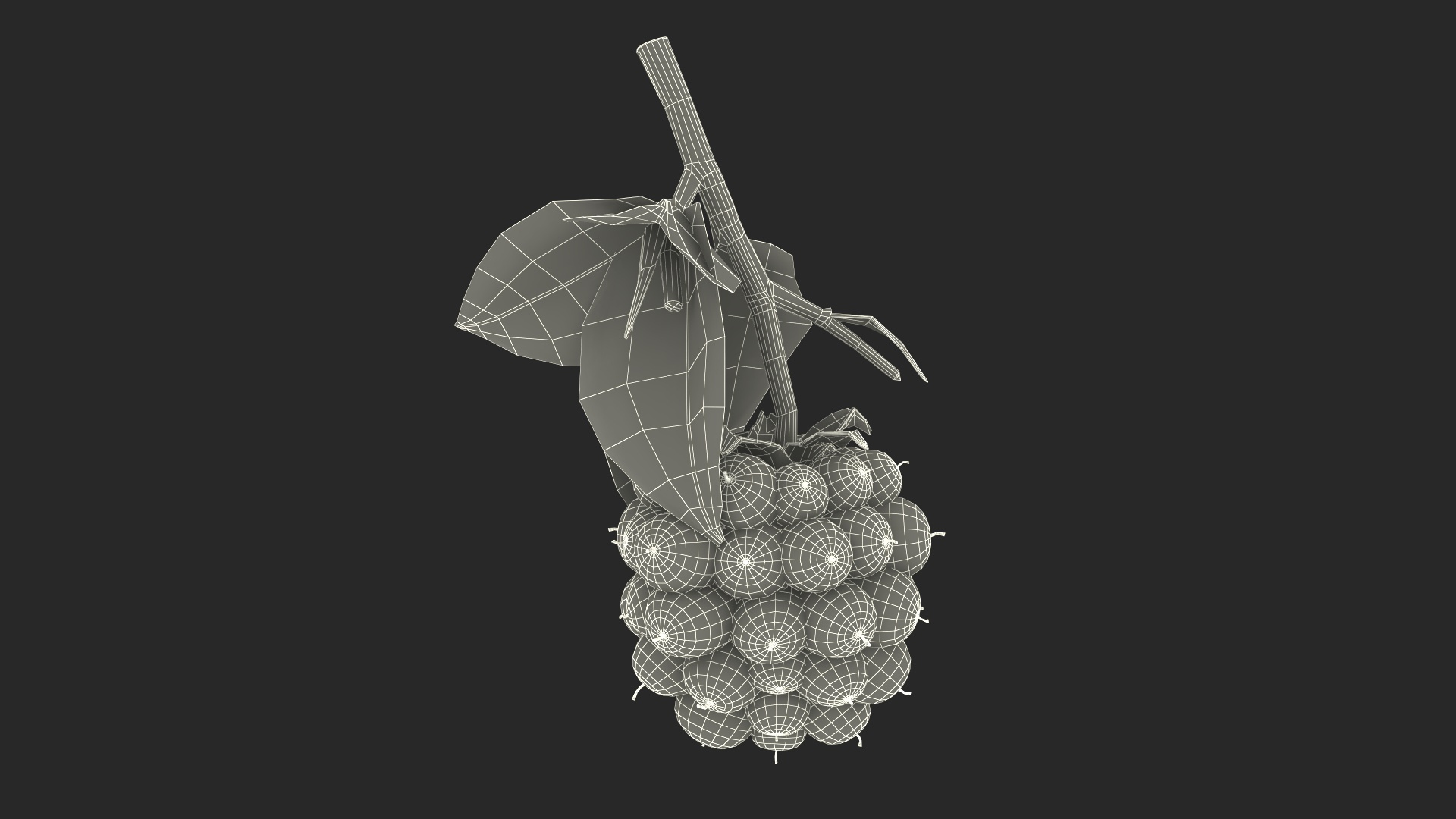 Red Raspberry With Leaves 3D Model - TurboSquid 2396015