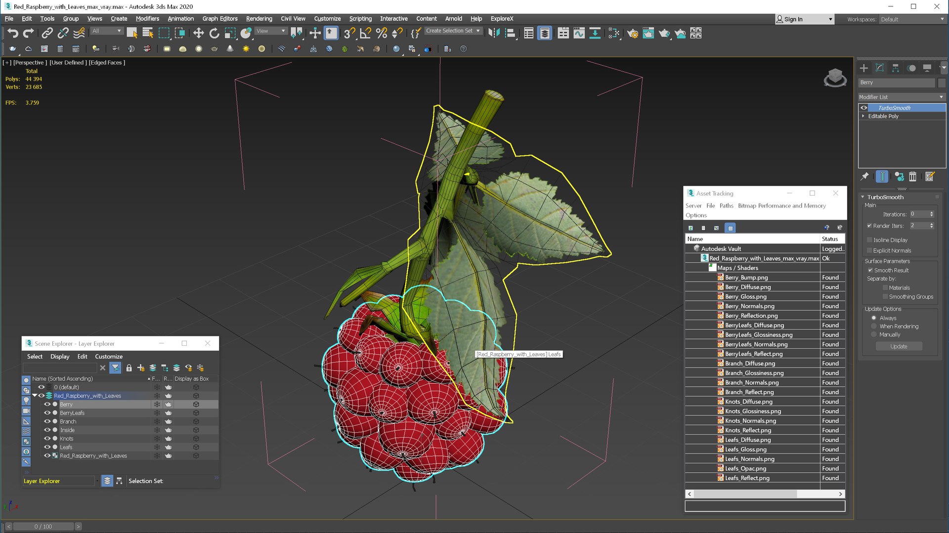 Red Raspberry With Leaves 3D Model - TurboSquid 2396015