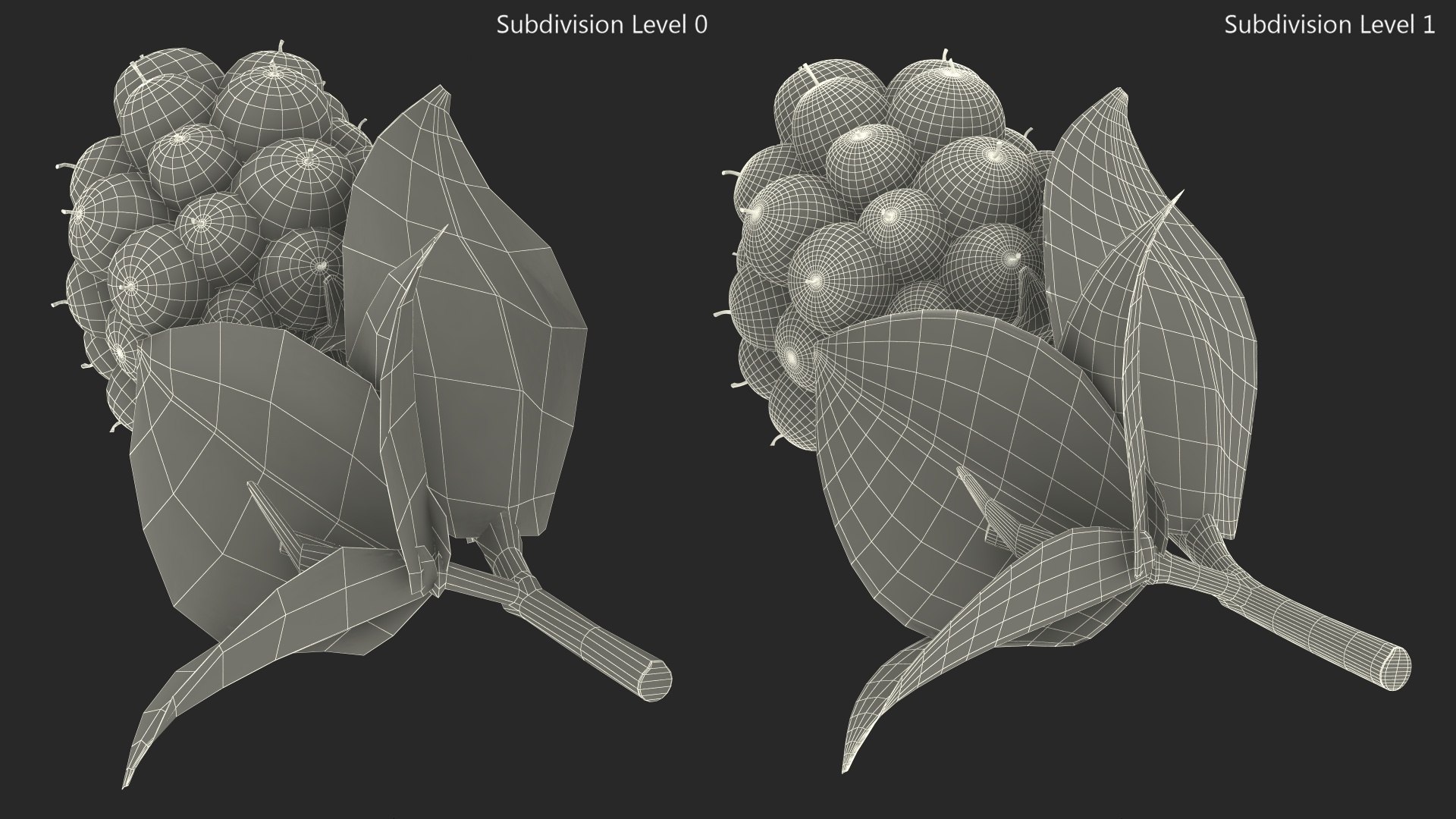 Red Raspberry With Leaves 3D Model - TurboSquid 2396015