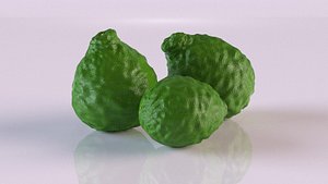 3D model kaffir lime bergamot fruit