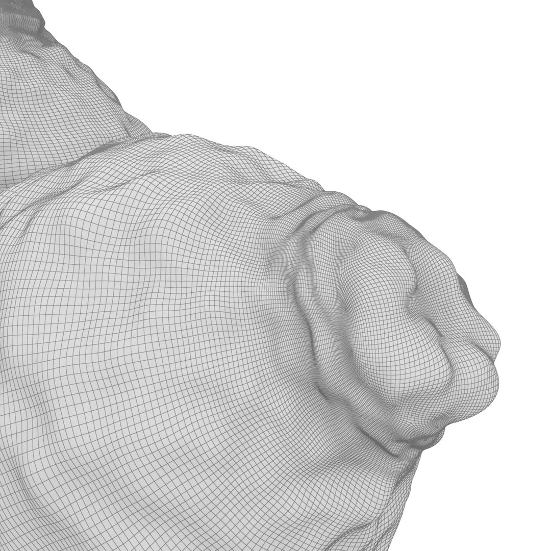 3D model kaffir lime bergamot fruit https://p.turbosquid.com/ts-thumb/pX/V073oN/y6/7/jpg/1614926426/1920x1080/fit_q87/2721b27e1bc1a3a2dfa557869da8237e8847c92b/7.jpg