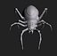 spider