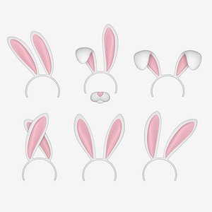 Bunny Ears Set 3D model
