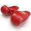boxing gloves everlast red 3d 3ds