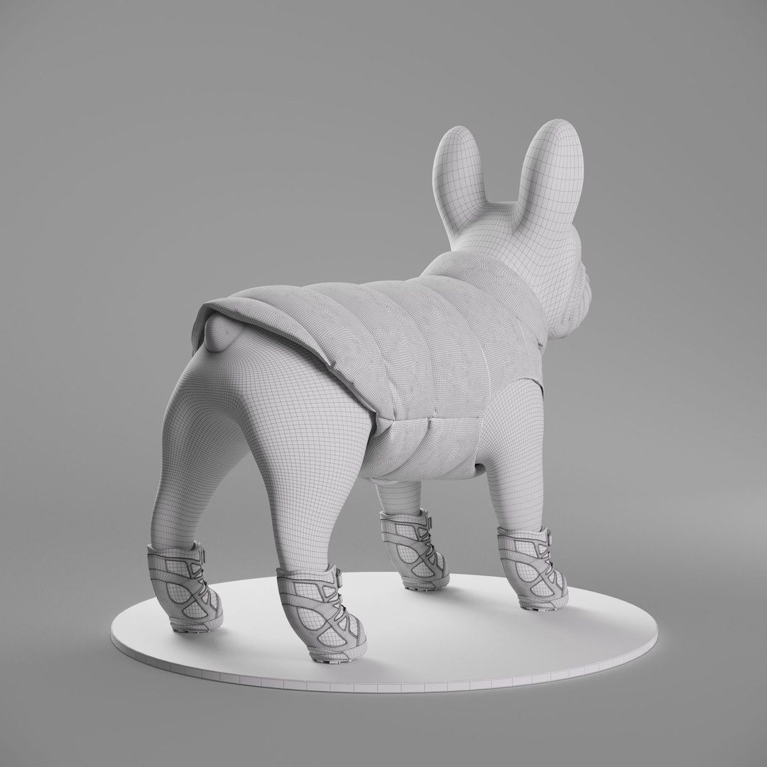 3D Mondog pet outfitters poldo dog couture with Salomon Cross Shoes model https://p.turbosquid.com/ts-thumb/pX/jY5Gzo/Wb/cam02/jpg/1635157717/1920x1080/fit_q87/4c98e78ffa5ef8b8b28a47a4dcae8f751d0ed894/cam02.jpg