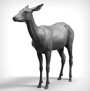 3D deer realistic model