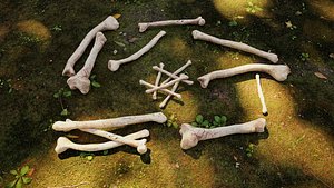 Bones Pack 3D