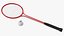 3D Badminton Racquet Set With Nylon Shuttle model