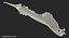 Animal Spine Vertebrae Bones 3D Model
