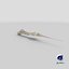 Animal Spine Vertebrae Bones 3D Model