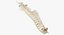 Animal Spine Vertebrae Bones 3D Model