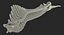 Animal Spine Vertebrae Bones 3D Model