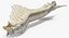 Animal Spine Vertebrae Bones 3D Model