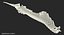 Animal Spine Vertebrae Bones 3D Model