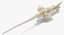 Animal Spine Vertebrae Bones 3D Model