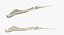 Animal Spine Vertebrae Bones 3D Model