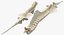 Animal Spine Vertebrae Bones 3D Model