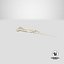 Animal Spine Vertebrae Bones 3D Model