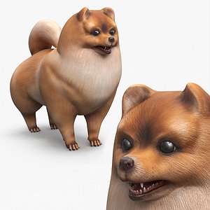 Stylized Pomeranian Spitz Dog Orange