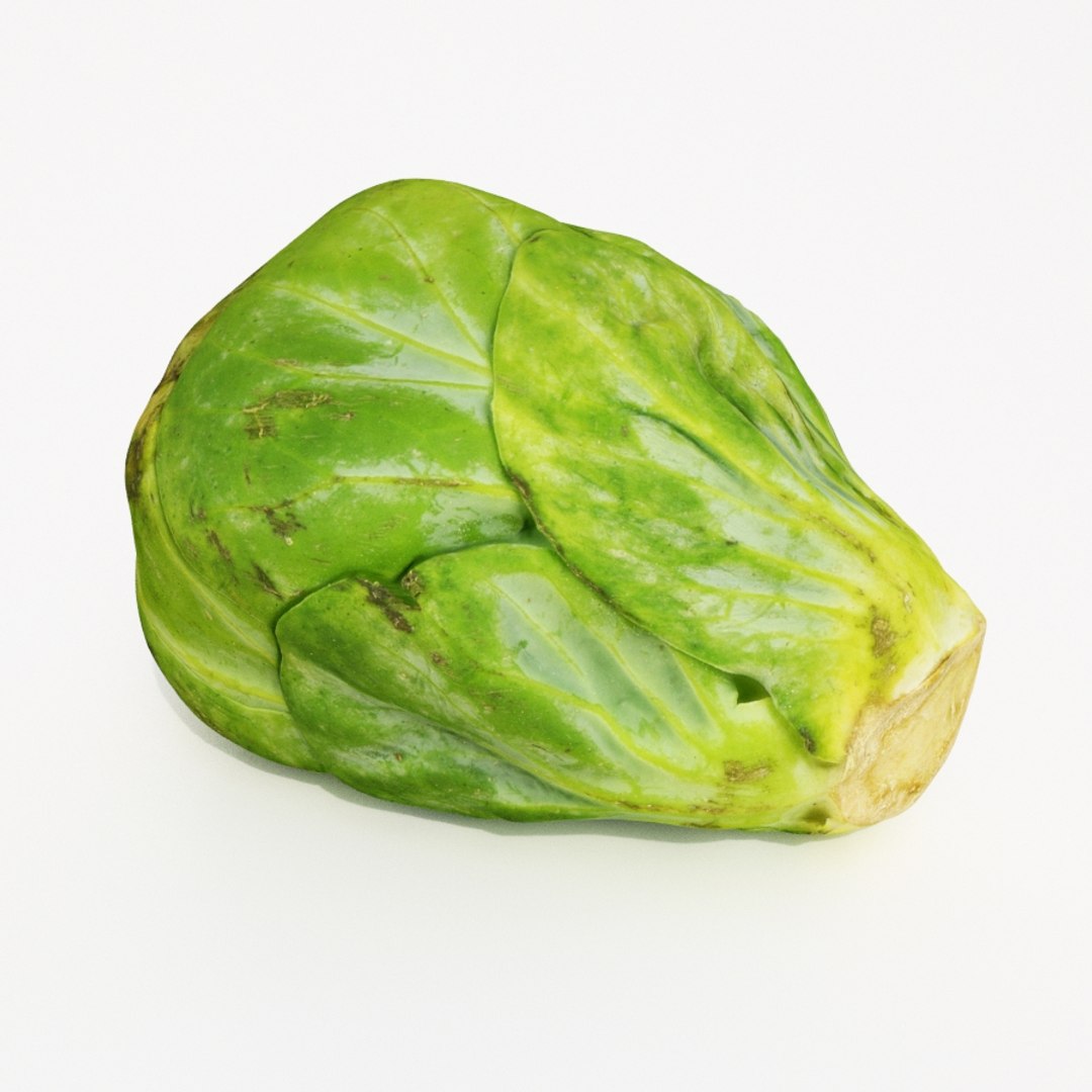 brussels sprout model https://p.turbosquid.com/ts-thumb/pY/p5HwgF/19zZqSI0/brusselssprout2_th06/jpg/1567867629/1920x1080/fit_q87/153f26a38a9ca8f6fb5d1a12c1014258267850ce/brusselssprout2_th06.jpg