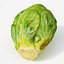 Brussels Sprout
