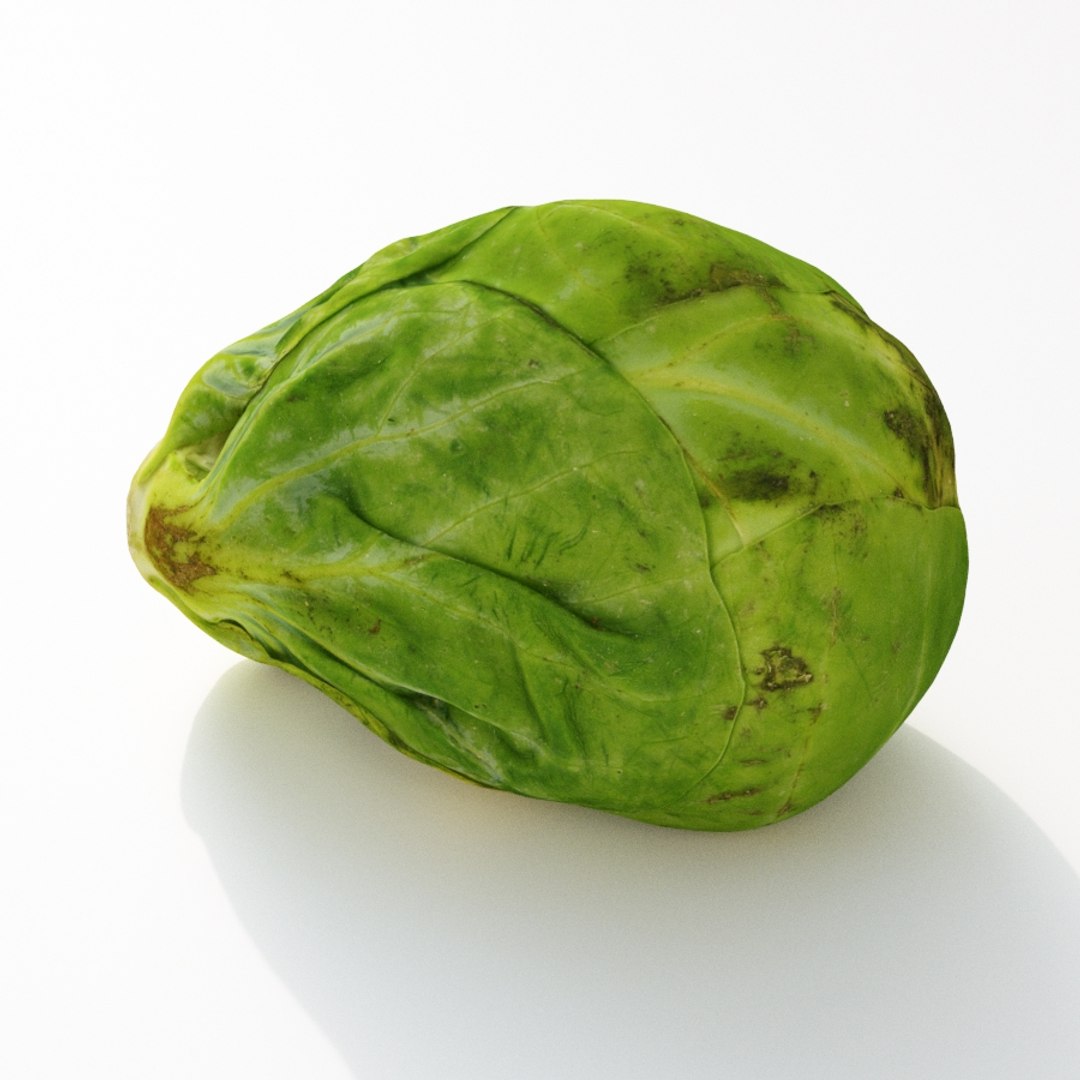 brussels sprout model https://p.turbosquid.com/ts-thumb/pY/p5HwgF/IlMOdUMh/brusselssprout2_th04/jpg/1567867629/1920x1080/fit_q87/8349cbdba45b4d1ecd6aa8a0bf87f432ffd2fe1b/brusselssprout2_th04.jpg