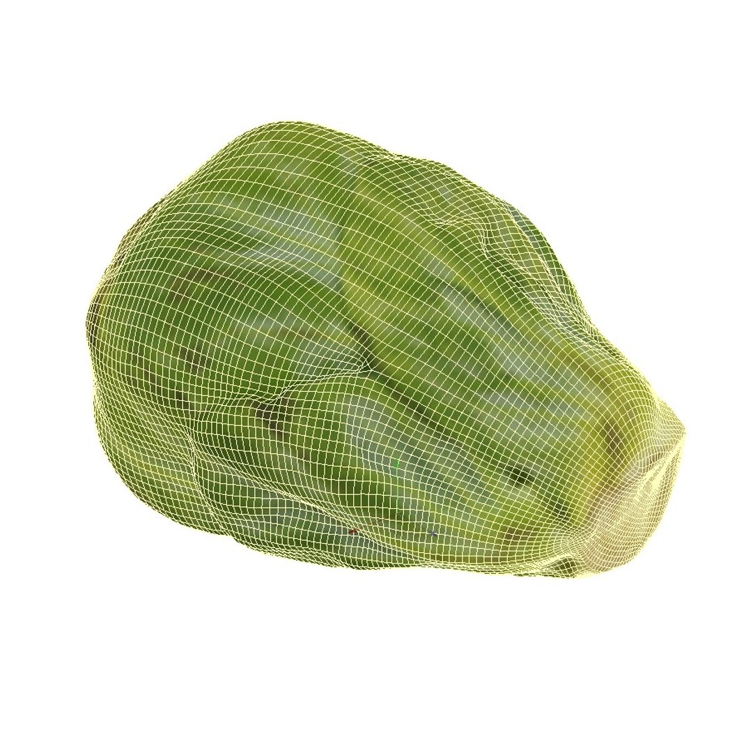 brussels sprout model https://p.turbosquid.com/ts-thumb/pY/p5HwgF/NDyPv1rJ/sprout2w/jpg/1567867649/1920x1080/fit_q87/40904bc4b58ee0748a7b4bed56d440f173dd862c/sprout2w.jpg