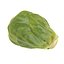 Brussels Sprout